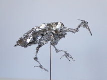 A.héron.marchant1