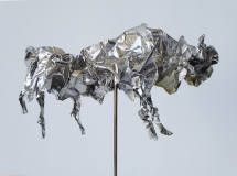 P.bison_.dEurope