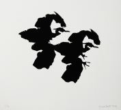 1_13.envol_.vers_.ouest_
