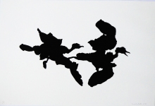 1_3.cormorans.en_.vol_