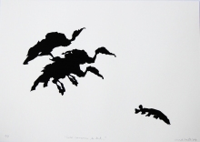 1_4.cormorans.pêchant